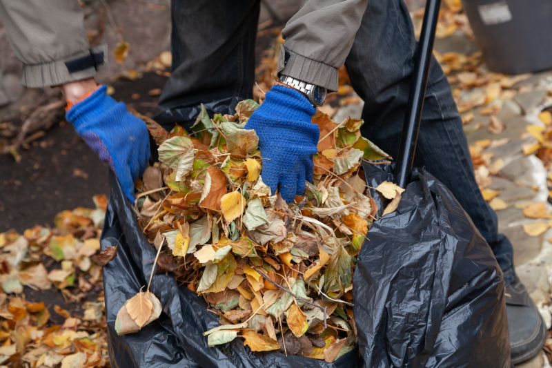 Clearing Leaves from the Lawn