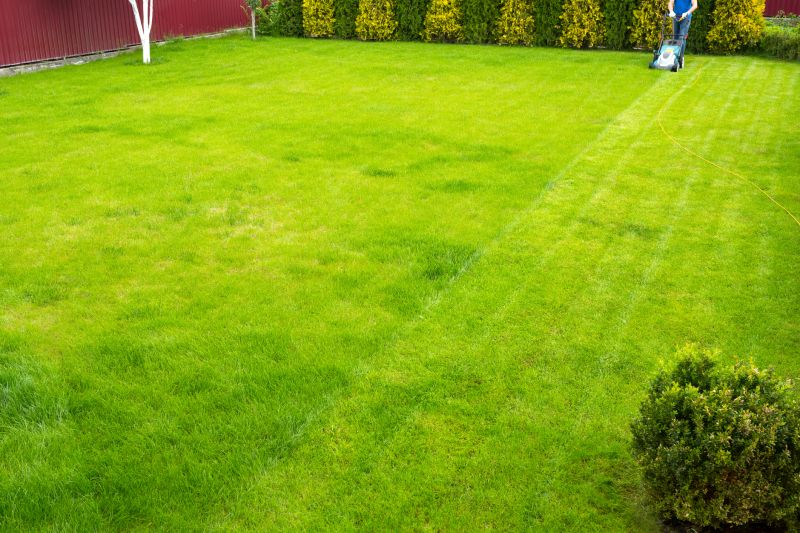 Lawn Maintenance Experts