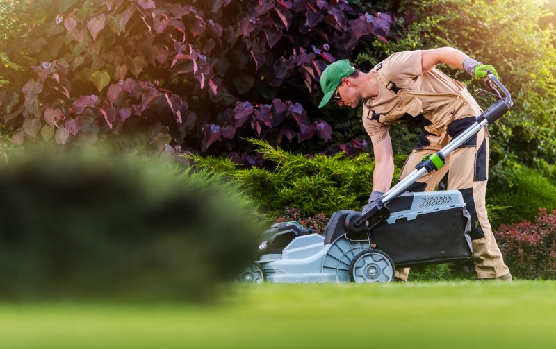 Increase Your Yard Care Business with an AI Driven, Targeted Website