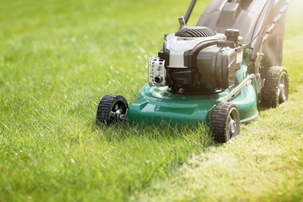 Yard Cutting